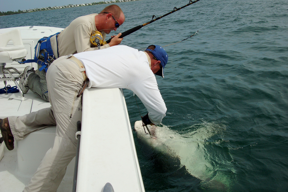 Land based shark fishing trip with the guys : r/SharkFishing