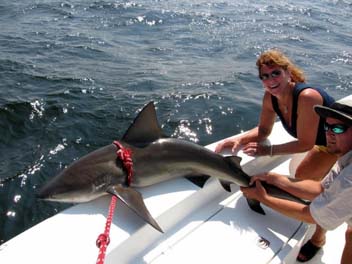 Fishing Bass Hook Ocean Shark Sea Great White Trout